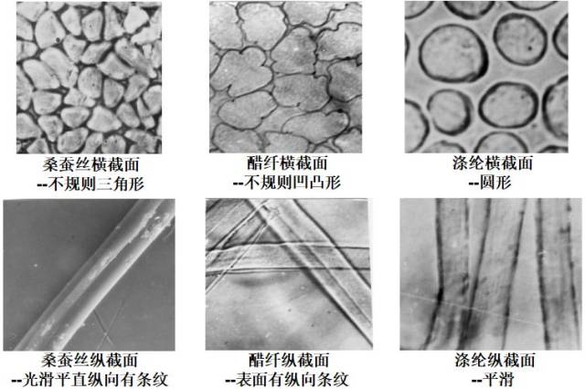 混棉纺和聚酯纤维哪个好