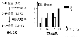 喷码机的危害及其影响分析