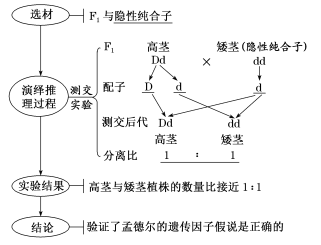 石油焦与智能纺织品材料的关系探究